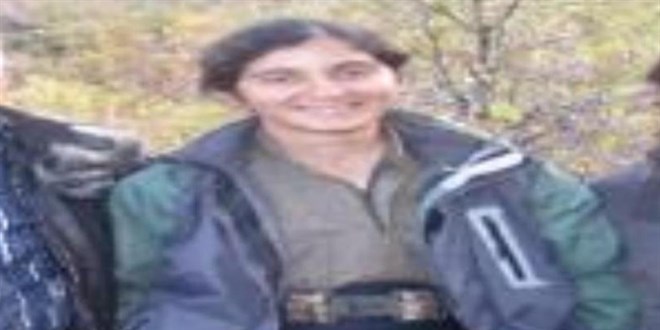 CHP'li meclis üyesi kızını terör örgütü PKK'ya teslim etmiş