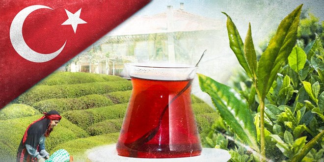 Türk çayı 1,2 milyon dolar kazandırdı