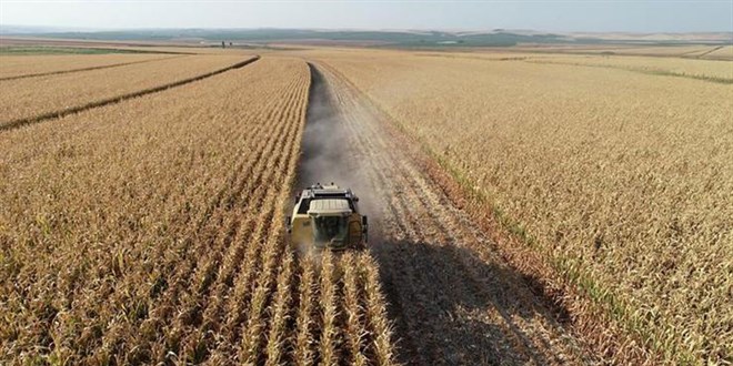 Tarımsal girdi fiyatları 2024'te yüzde 32,5 arttı