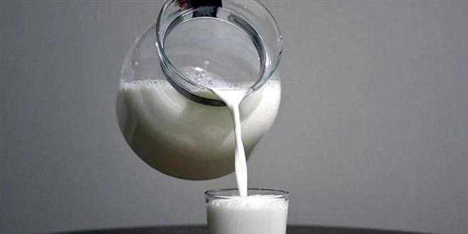 Çiğ süt destek ödemeleri ayrıntıları belli oldu