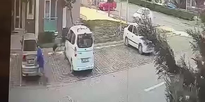 İmamın köpek saldırısı davası sonuçlandı: İki belediye tazminat ödeyecek