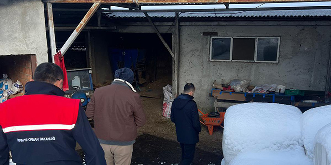 Zonguldak'ta şap hastalığı şüphesiyle bir köyde karantina başlatıldı