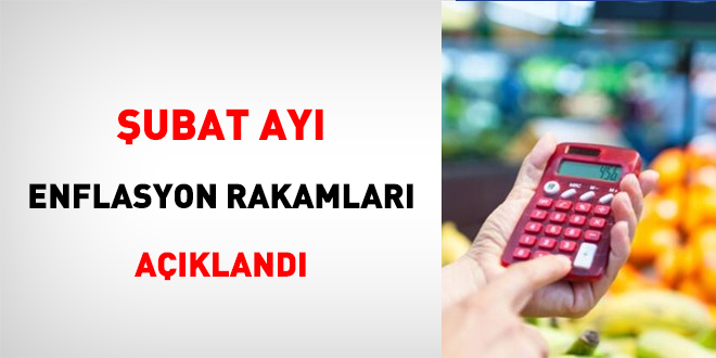 Şubat ayı enflasyon rakamları açıklandı