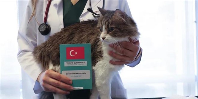 Evcil hayvan sahipleri dikkat! Mikroçip zorunluluğu 2025'e uzatıldı