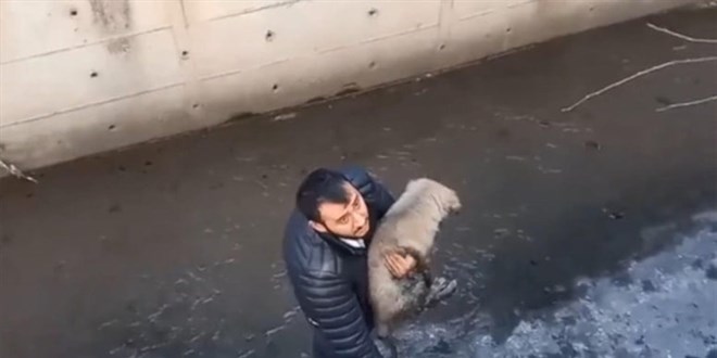 Köpeğini kurtarmak isteyen taksici derede mahsur kaldı