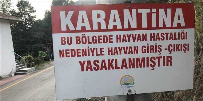 Bolu'da iki köy karantinaya alındı