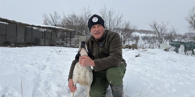 Öğretmenliktin vazgeçti, av köpeği eğitiyor