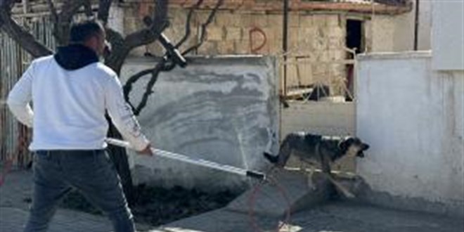 Karaman'da Köpek Saldırısı: Baba Yaralandı