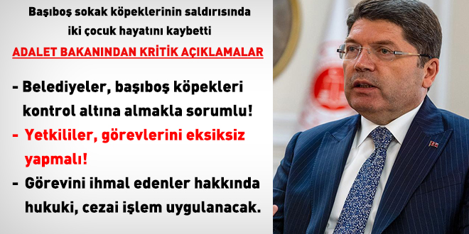 Başıboş köpek saldırılarıyla ilgili soruşturma başlatıldı