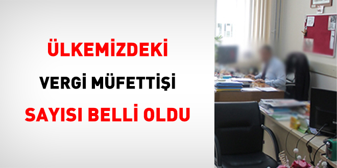 Ülkemizdeki vergi müfettişi sayısı belli oldu