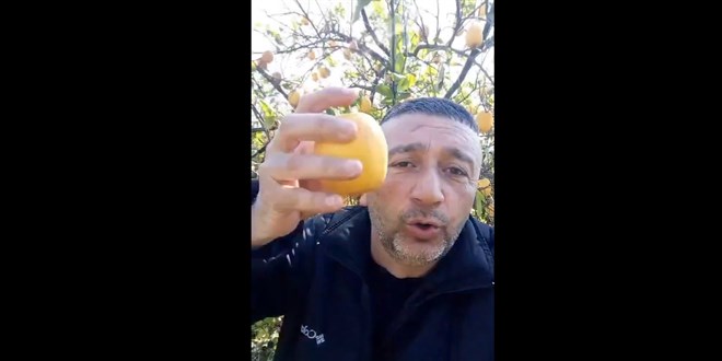 Limonları 50 kuruşa satamıyorum demişti.. Bakanlık yalanladı