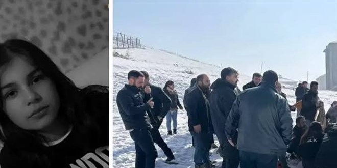 Sahipsiz Köpek Saldırısı Sonrası Belediyeye İnceleme