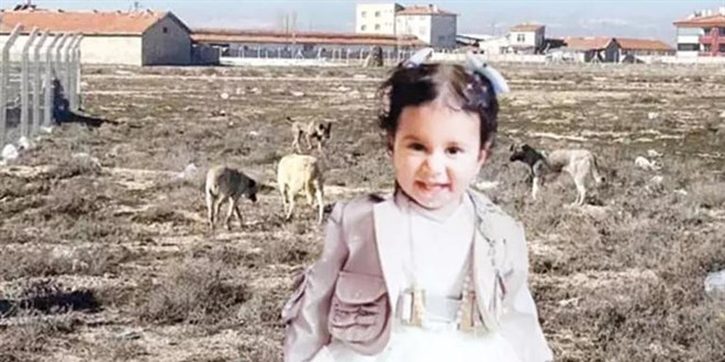 Köpek saldırısında ölen Rana bebeğin otopsi raporu tamamlandı