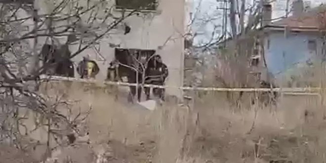 6 Yandaki Fatma'y kpekler paralad