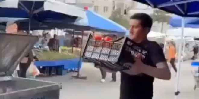 Kasalarca domatesi çöpe döken pazarcıya inceleme