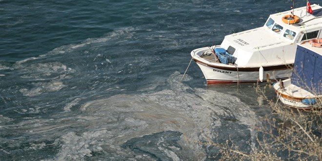 Marmara'da müsilaj balık sezonunu erken bitirdi