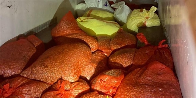 Kaçak midye avına 37 bin lira ceza