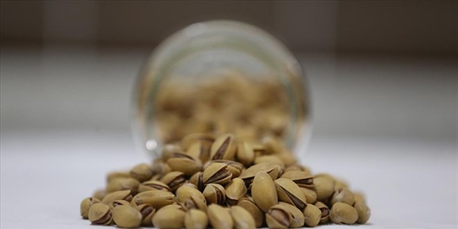 2024'te T�rkiye'den 229 milyon dolarl�k f�st�k ihracat�