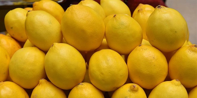 Bakanlık Açıkladı: Limon İhracatı Durduruldu!