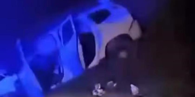 Düğün dönüşü yola çıkan domuz kazaya neden oldu: 1 ölü
