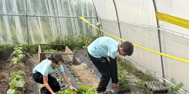 'Okuldaki Çiftlik' Projesi ile Öğrenciler İlk Hasadı Yaptı