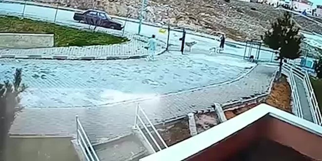 Çubuk'ta köpeklerin saldırısına uğrayan iki çocuk yaralandı