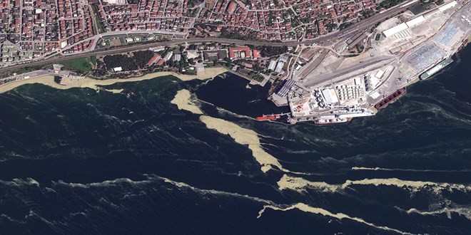 Müsilaj tehdidi Marmara Denizi'nde dipte yoğunlaşıyor