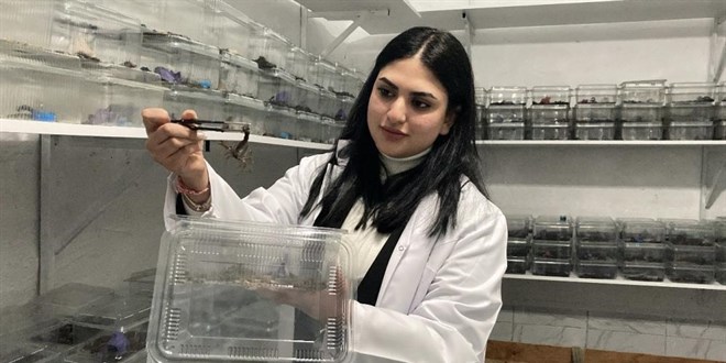 18 Yaşındaki Zilan'ın Mavi Akrep Macerası: 3 Bin Akrep Yetiştiriyor