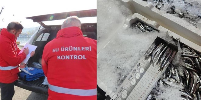 Trabzon'da balıkçılara 2 milyon 390 bin TL'lik av cezası