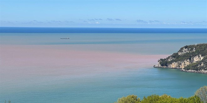 Bartın'da deniz çamur rengine dönü