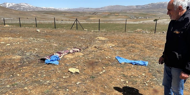 Kayseri'de başıboş köpeklerin saldırdığı kişi hayatını kaybetti