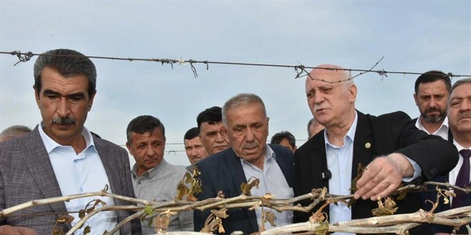 Şemsi Bayraktar: Bunca emek bir gecede yok oldu
