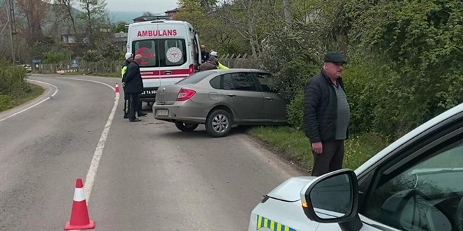 Başıboş köpeklere çarpmamak için kaza yaptı: 2 yaralı