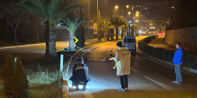 Motosikletle ağaca çarpan tıp fakültesi öğrencisi hayatını kaybetti