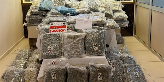 Kapıkule'de uyuşturucu operasyonu! Kilolarca ele geçirildi, 2 kişi tutuklandı