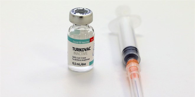 TURKOVAC Aşısı Proje Lideri: Kalp krizleri aşı ile değil hastalık ile alakalı