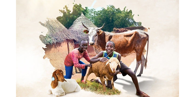 Milyonlarca Ki�i Kurban Ba���� ile Bayram'da Etle Bulu�may� Bekliyor