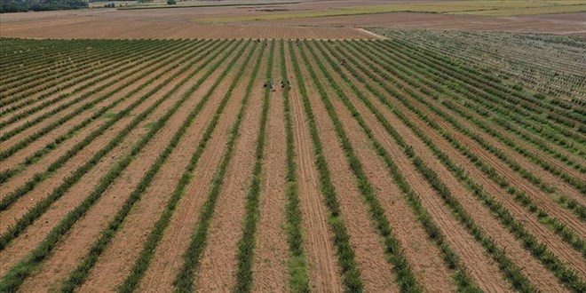 2026 Genel tar�m say�m�: 5 Bin ki�ilik kadro g�revde!