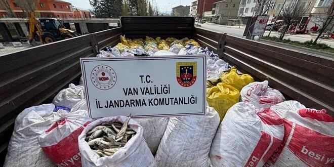 Van'da kaçak inci kefali avlayan 15 kişiye ceza