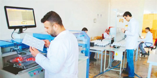 KOB�'ler Dijital D�n���m ve Ye�il Mutabakatla B�y�yor