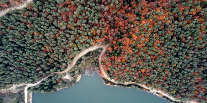 Bilecik'te ormanlk alanlara giriler 5 ay sreyle yasakland