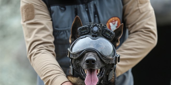 Mehmet�i�in 'keskin burunlar�': 2 y�l boyunca 8 farkl� e�itimden ge�iyorlar