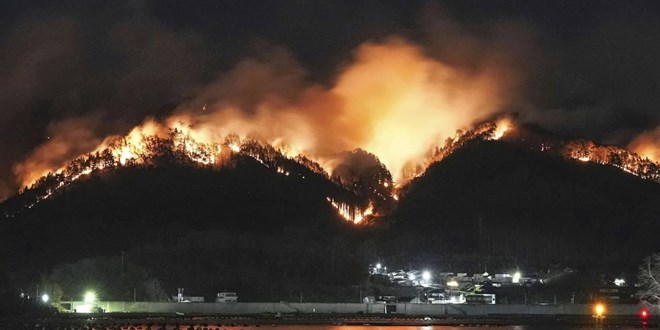 Orman yang�nlar�nda k�resel kriz: D�nya Genelinde �talya B�y�kl���nde Alan Kaybedildi