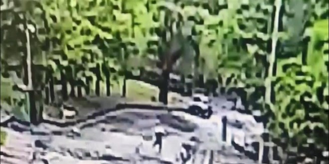 YTÜ Kampüsünde Öğrenciye Başıboş Köpek Saldırısı