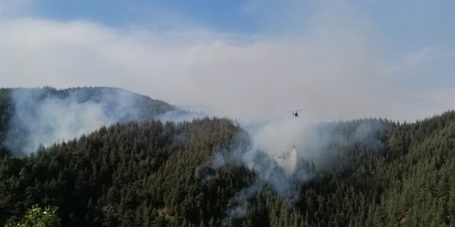 Kahramanmara'ta kan orman yangn kontrol altna alnd