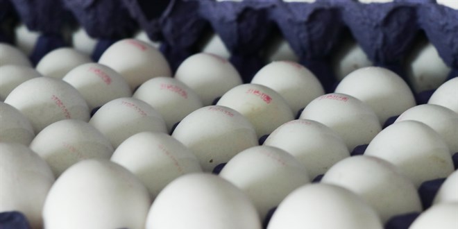 YUM-BR'den Marketlere Eletiri: Zamda Hzl, ndirimde Yavalar
