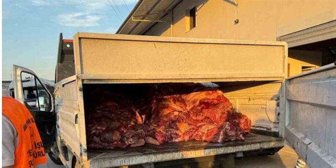 Adana'da 3 ton bozulmu at eti ele geirildi