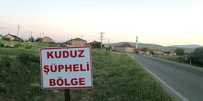 Hatay'da 4 mahalle kuduz nedeniyle karantinaya alnd