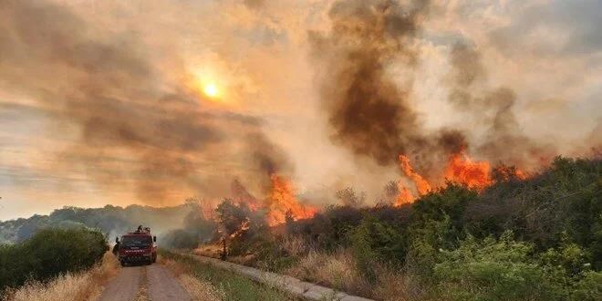 anakkale'de yangn! 1,5 hektar alan kl oldu