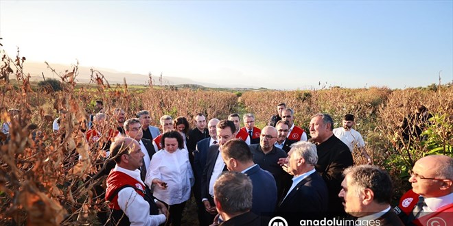 TBMM Zirai Don Komisyonu yeleri, narenciye bahelerini inceledi